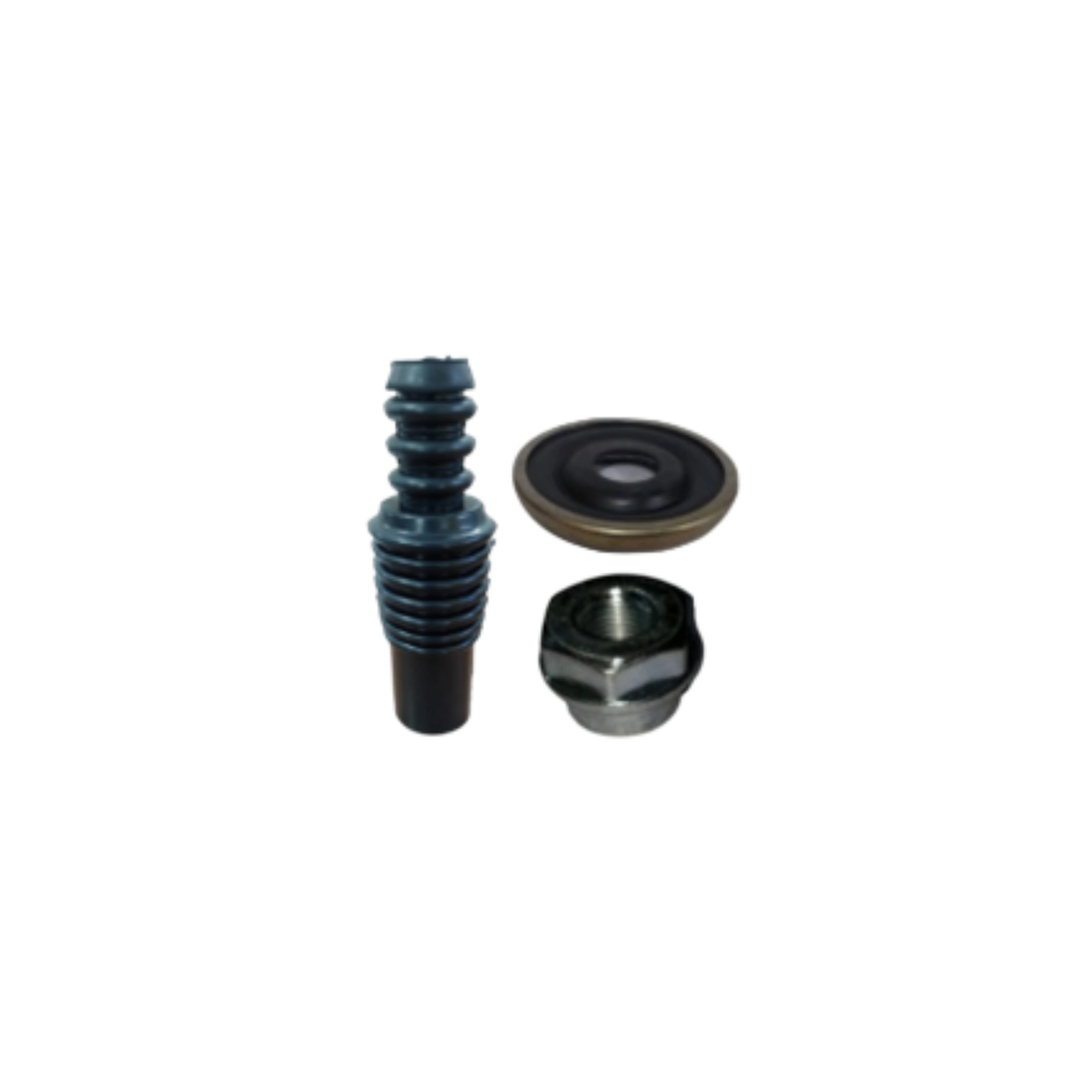 MM LOGN/ VRITO/ RN DSTR /NS TERANO FR ST-KIT WT BRNG (3)